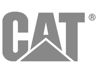Caterpillar